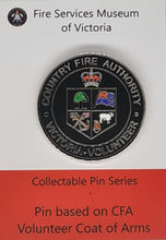 Load image into Gallery viewer, Pins