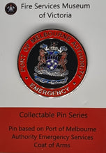 Load image into Gallery viewer, Pins