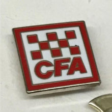 Load image into Gallery viewer, Pins